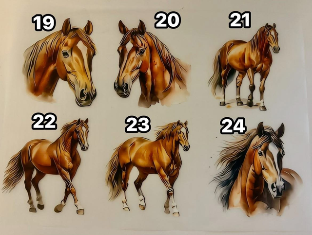 Coffret à personnaliser porte-clés et trousse avec DTF chevaux