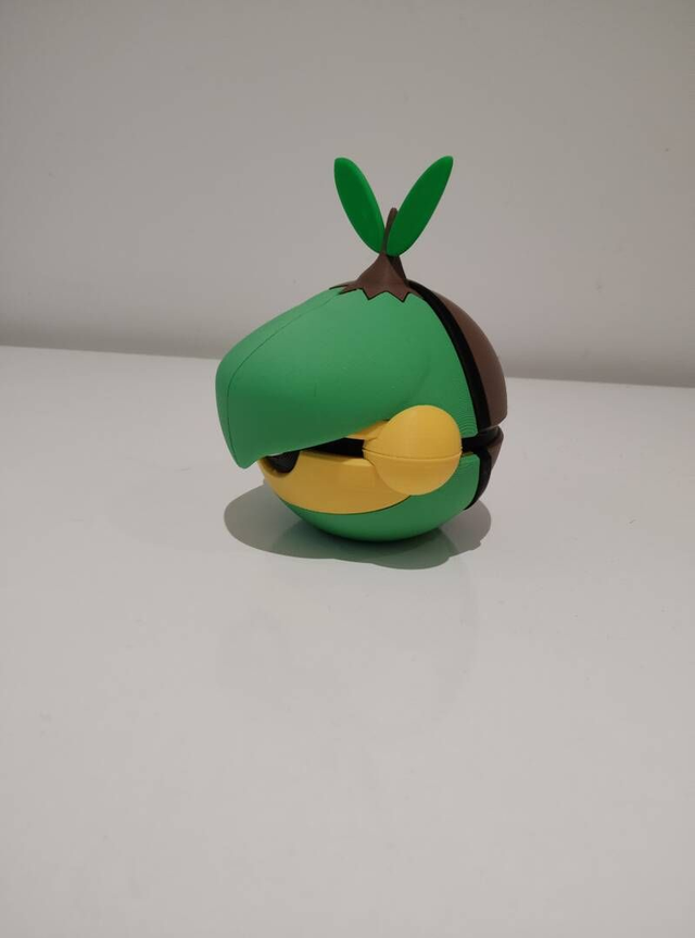 Tortipouss