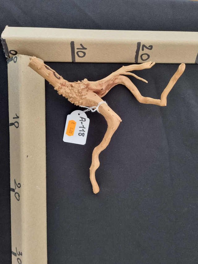 Racine araignée A-118