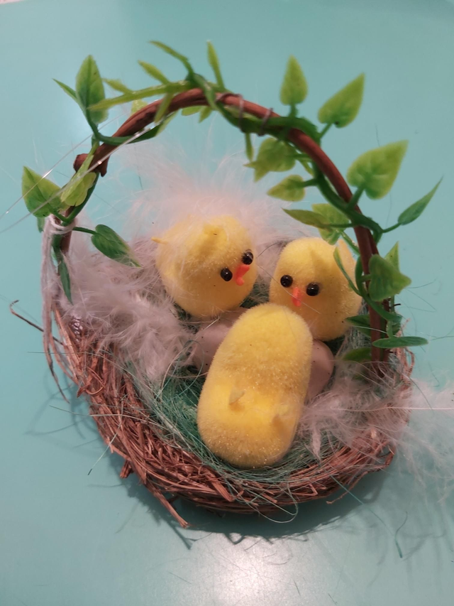 cestino con pulcini