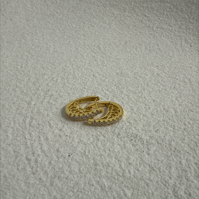 BOUCLES D’OREILLES DESLUMBRANTE 