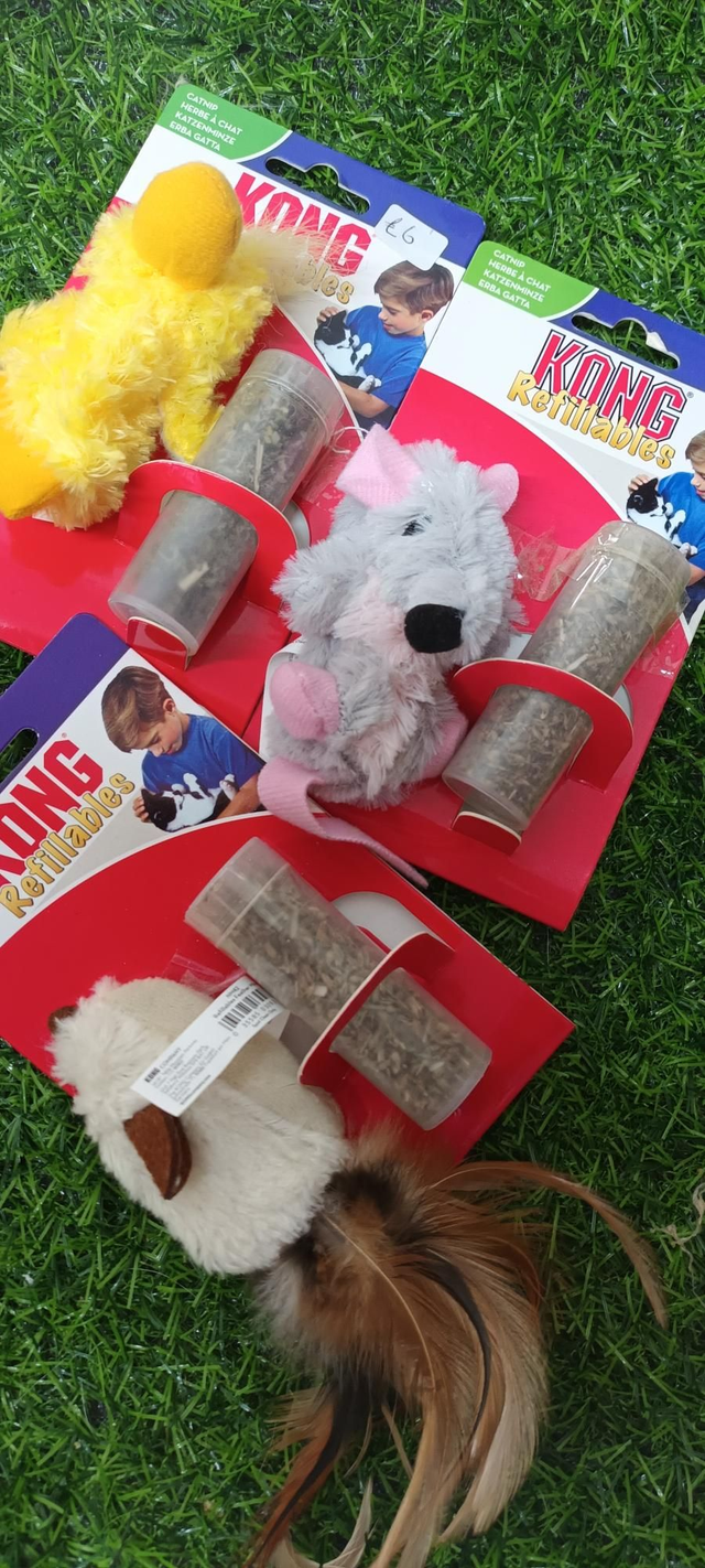 Kong refillable catnip toy 