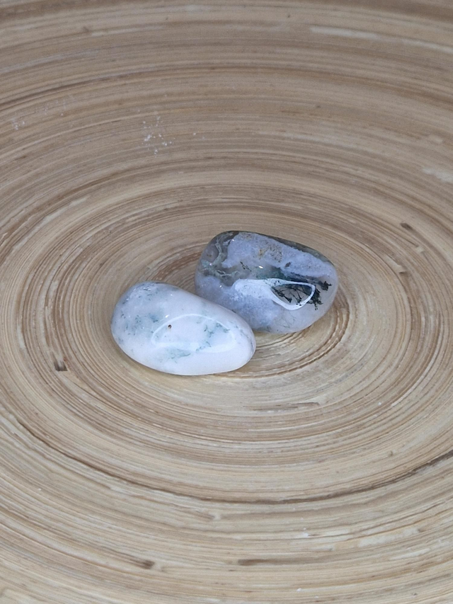 Agate arbre - Pierre roulée