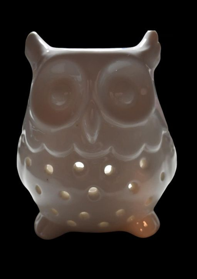 Brûle-Parfum Hibou – "Sagesse Nocturne"