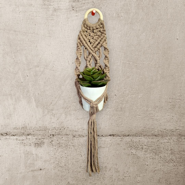 Suspension mini plante