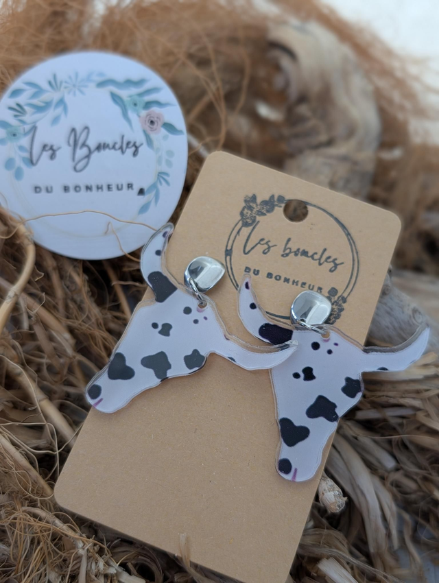 Boucles d&#039;oreilles Country fantaisie try008