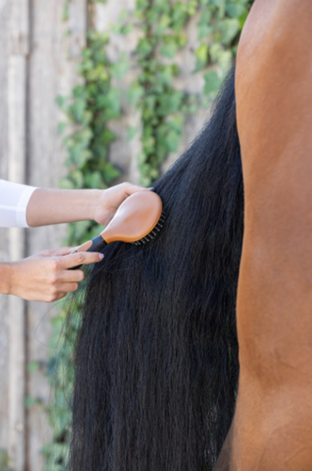 Covalliero Brosse à crinière 2K