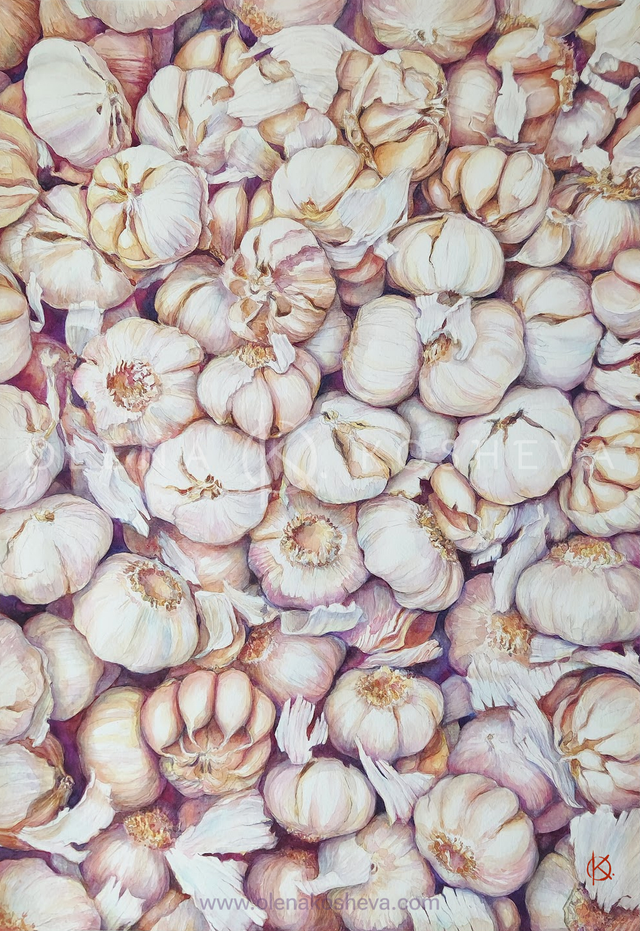 Garlic / print