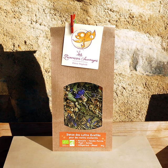 Danse des Lutins Éveillés TONUS DU MATIN