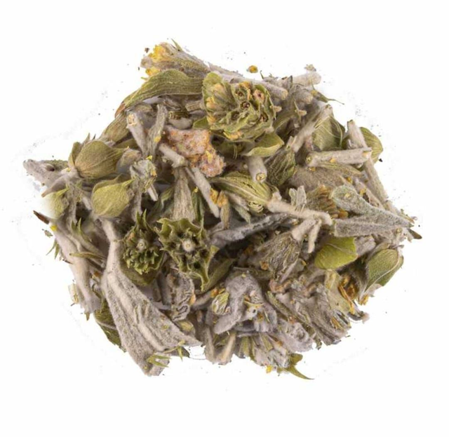 7_Montagne greche (Stregonia)