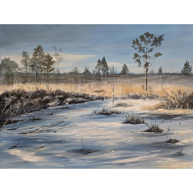Winter on Thursley Common 