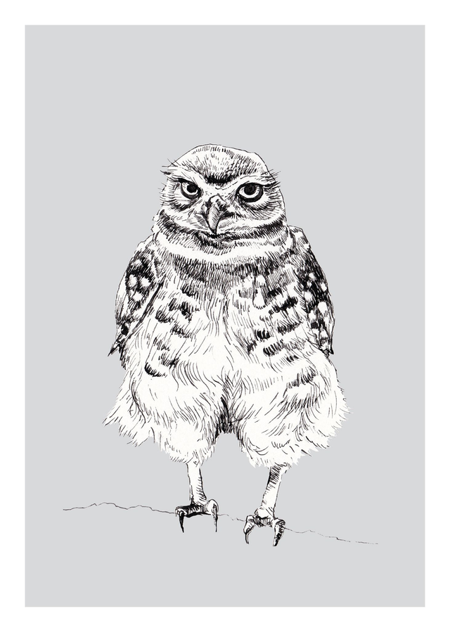 Little Owl Print - After an original pen &amp; ink illustration