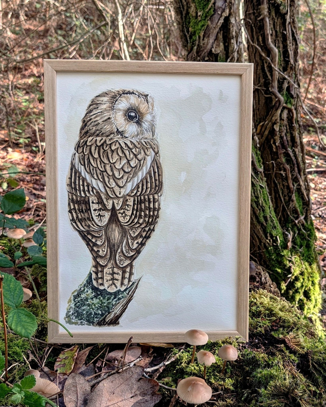 "Perchée" - Aquarelle originale 