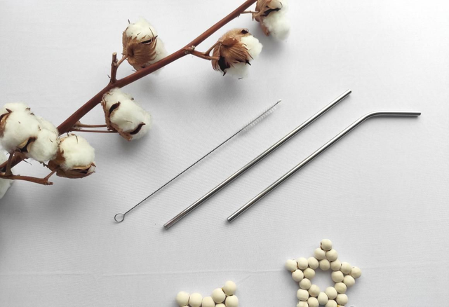 Paille en inox - longue