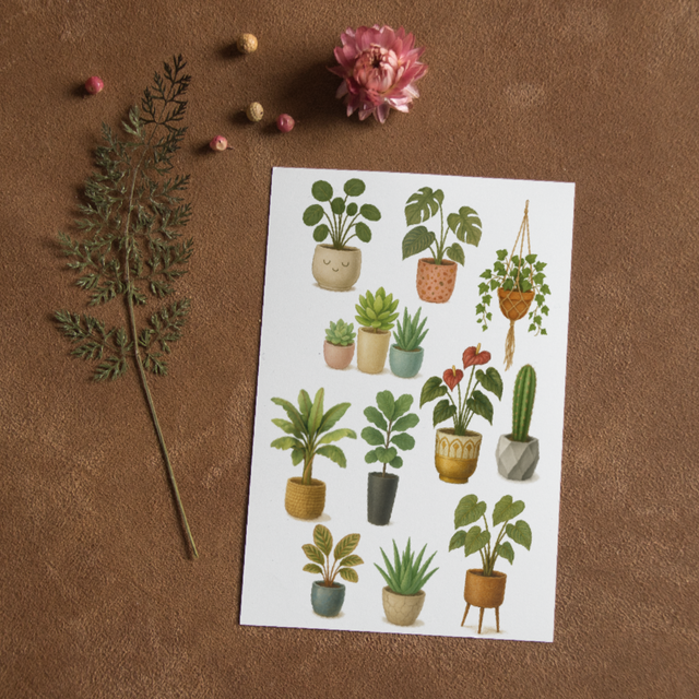 Stickervel Kamerplanten - "Urban Jungle" - Rozeka