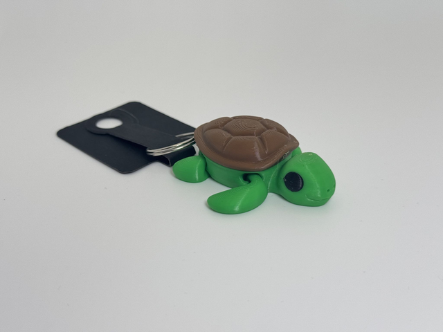 Schildpad Sleutelhanger
