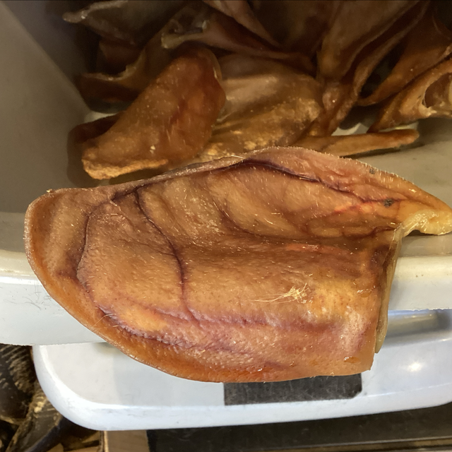 Pig Ear