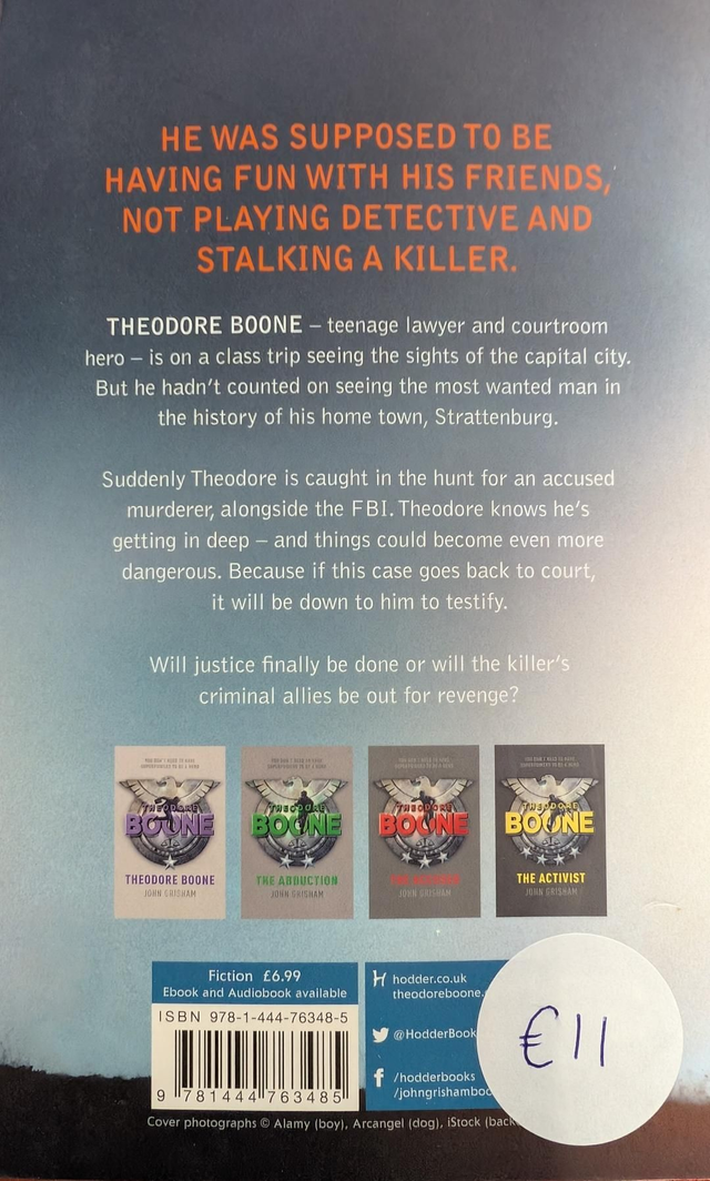 Theodore Boone: The Fugitive - John Grisham