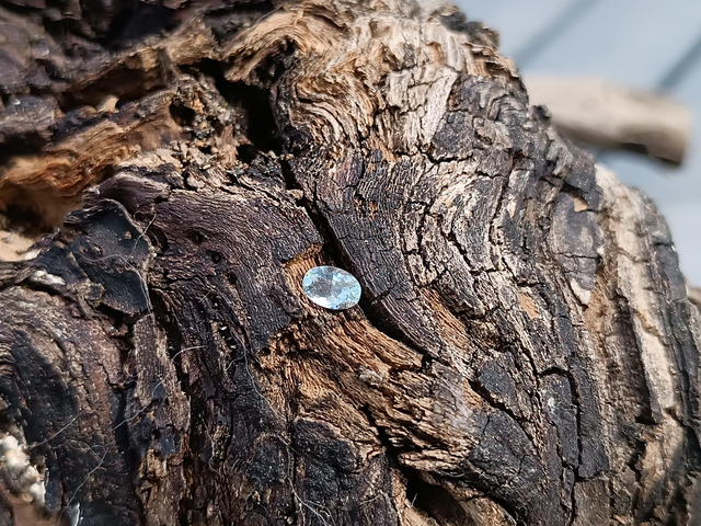 Aigue-marine Taille Ovale 0,42 carat