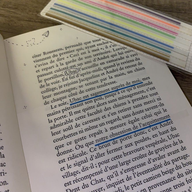 Marqueur Annotation 