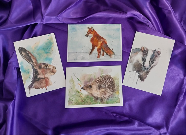 British wildlife card bundle