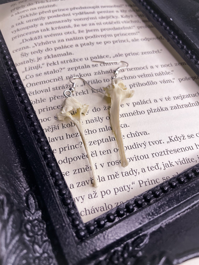 Náušnice Osteology Bone 3