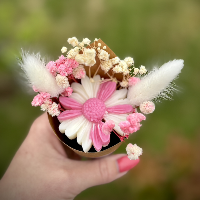 Marguerite Rose Fuchsia