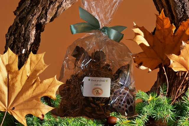 Pot pourri "Forêt profonde"