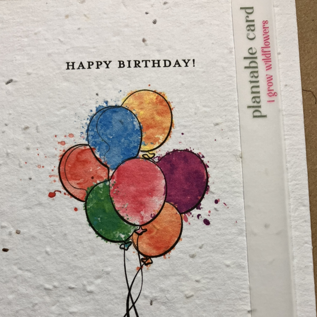 Seed Card Birthday Balloons