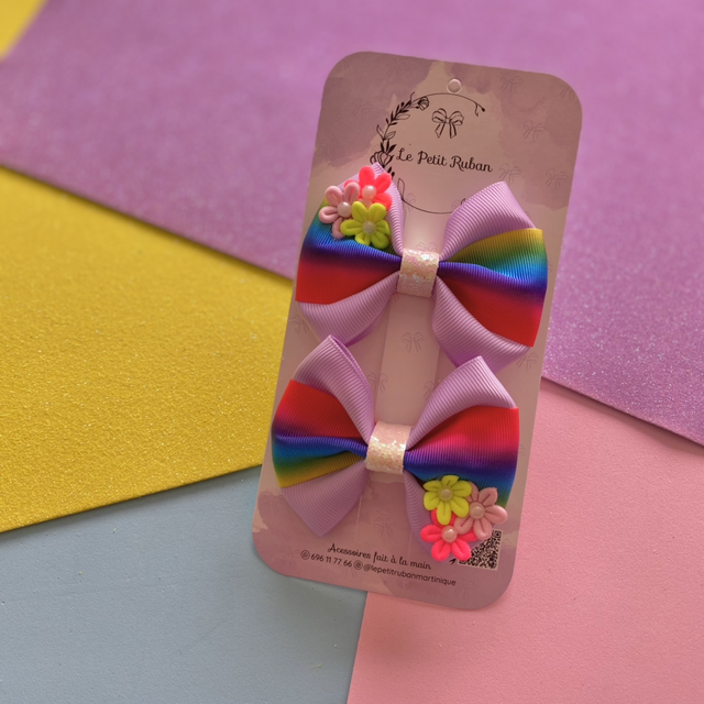 Paire se barrettes multicolores 🌈