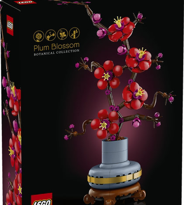 10369 Albicocco Giapponese