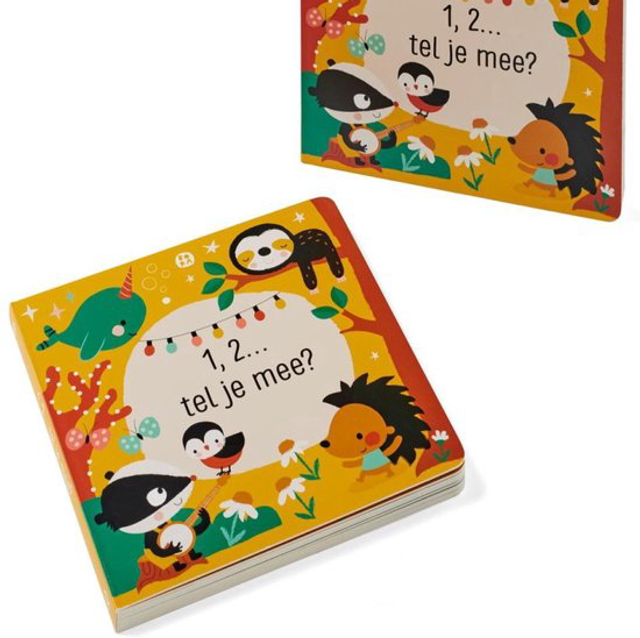 251731 1,2… tel je mee? 