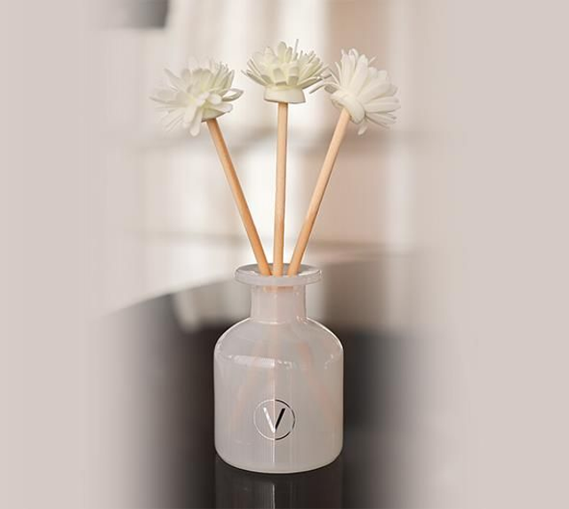 Raamgeur met Natuurlijke Diffuser - Aloe Spa 150ml