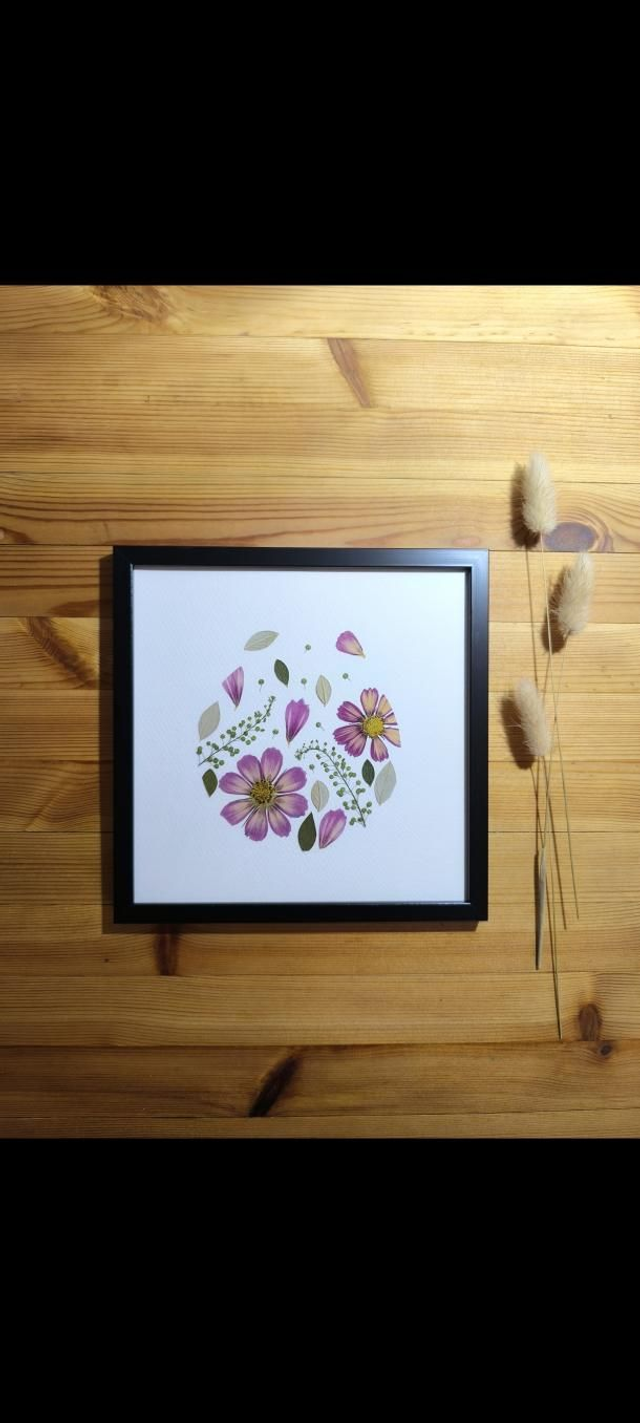 Herbier d'Art Cosmos