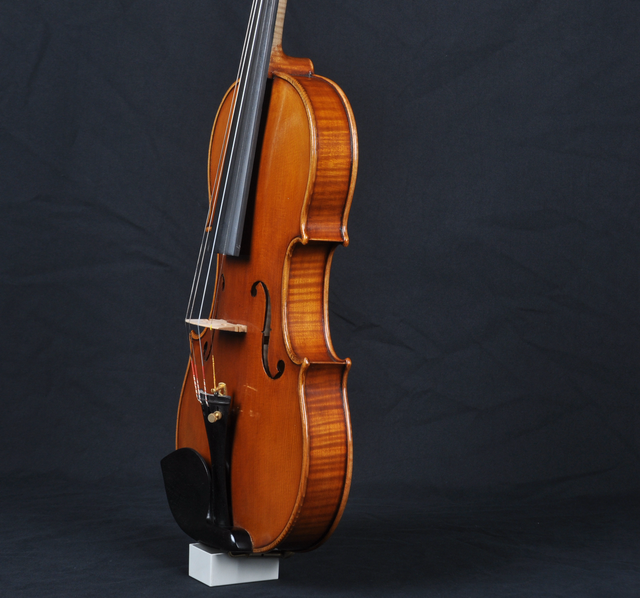 Violon