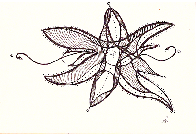 L'Etoile de Mer d'Andromède