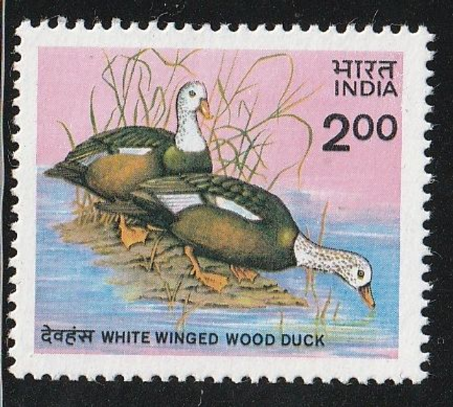 India 1985  Bird,White-Winged Wood Duck MNH