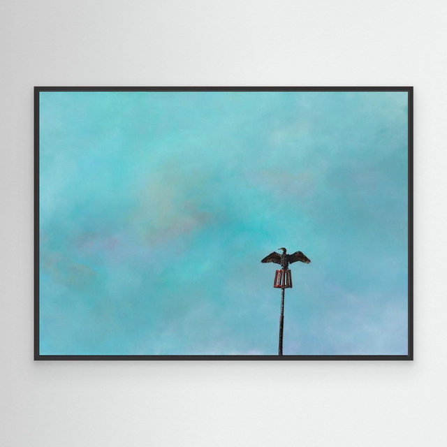 Sentinel - (Cormorant)