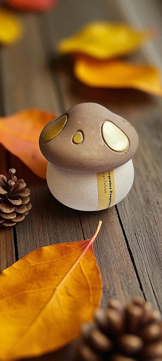 🍄Bougie Champignon – Gingembre Pamplemousse