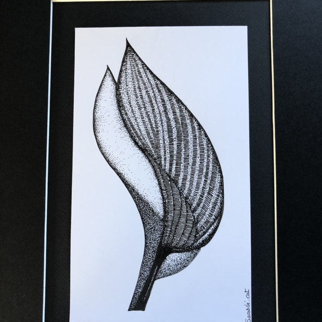 Fleur d’arum - 32 x 42 cm - encadrement blanc 