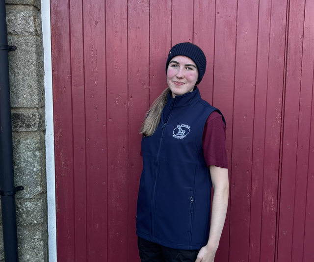 DPS Unisex Soft Shell Gilet - Navy - Medium 