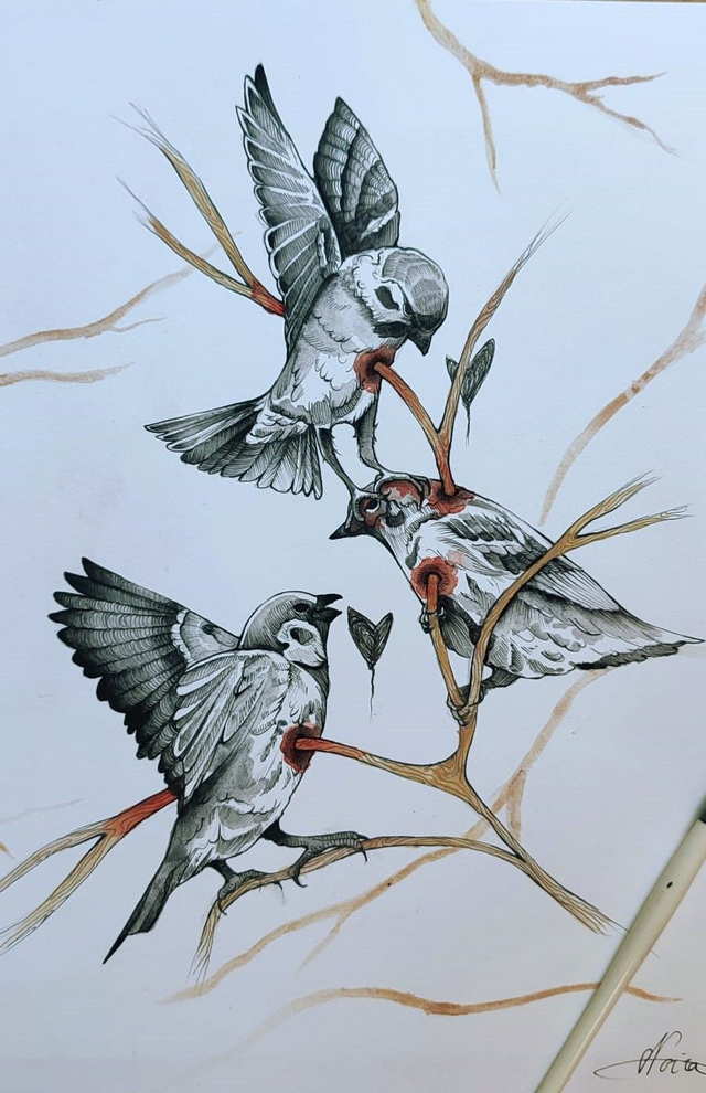 Les écorchés - Précommande PRINT Envoi Postal