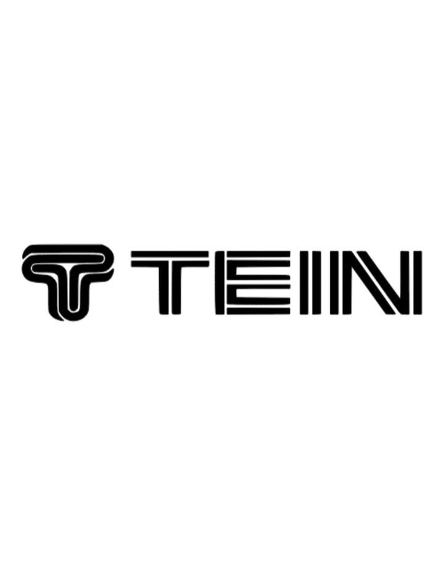 Tein