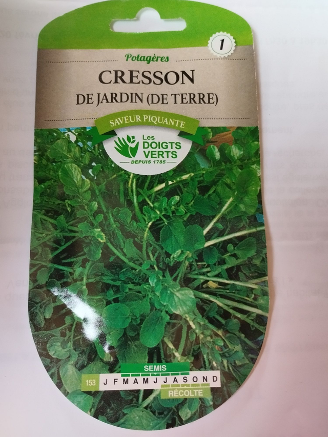 Cresson de jardin(de terre)