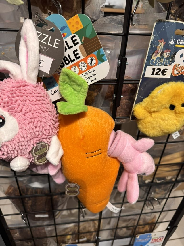 Carotte &amp; Lapins – Jeu de fouille interactif