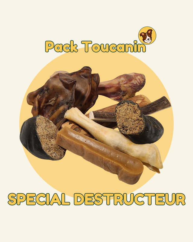Pack &quot;DESTRUCTEUR&quot; mastication