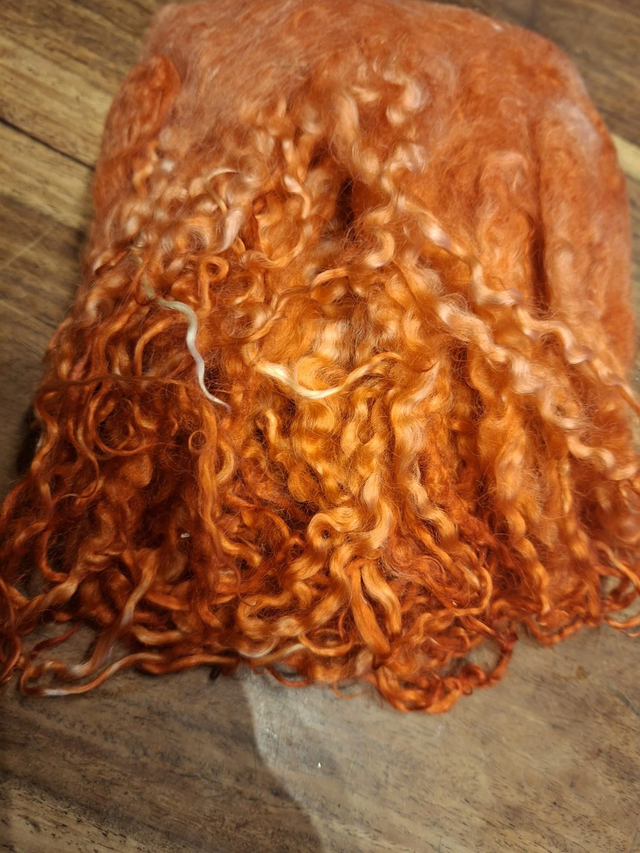 Boucles de teeswater 69g BOUCLES01111