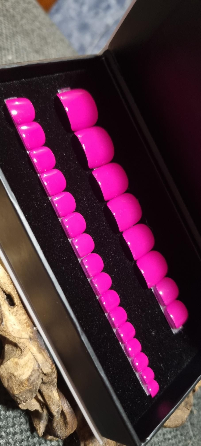 Fantastic little pieds