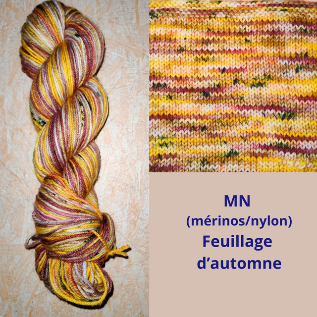 MN Feuillage d'automne