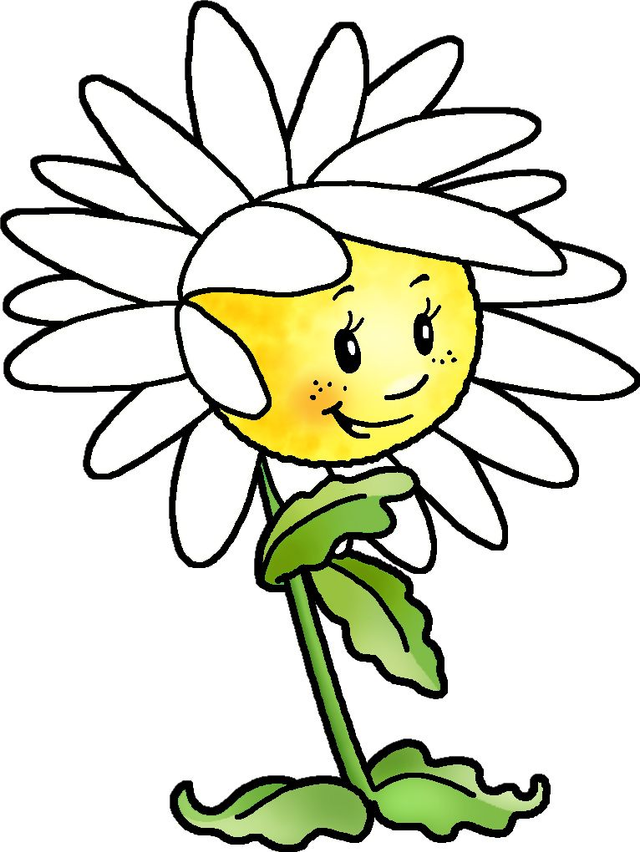 2 Bücher + Kuschelhund - über Varianten